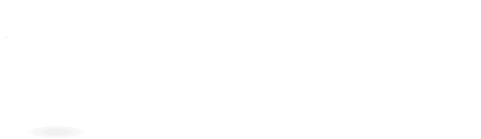 Python Python